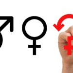 The Ideological War over Gender Pronouns